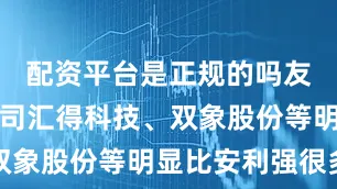 配资平台是正规的吗友商上市公司汇得科技、双象股份等明显比安利强很多
